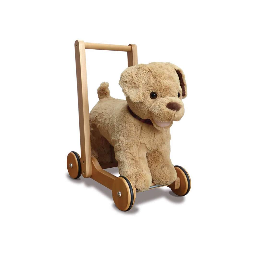 Push along sales dog toy