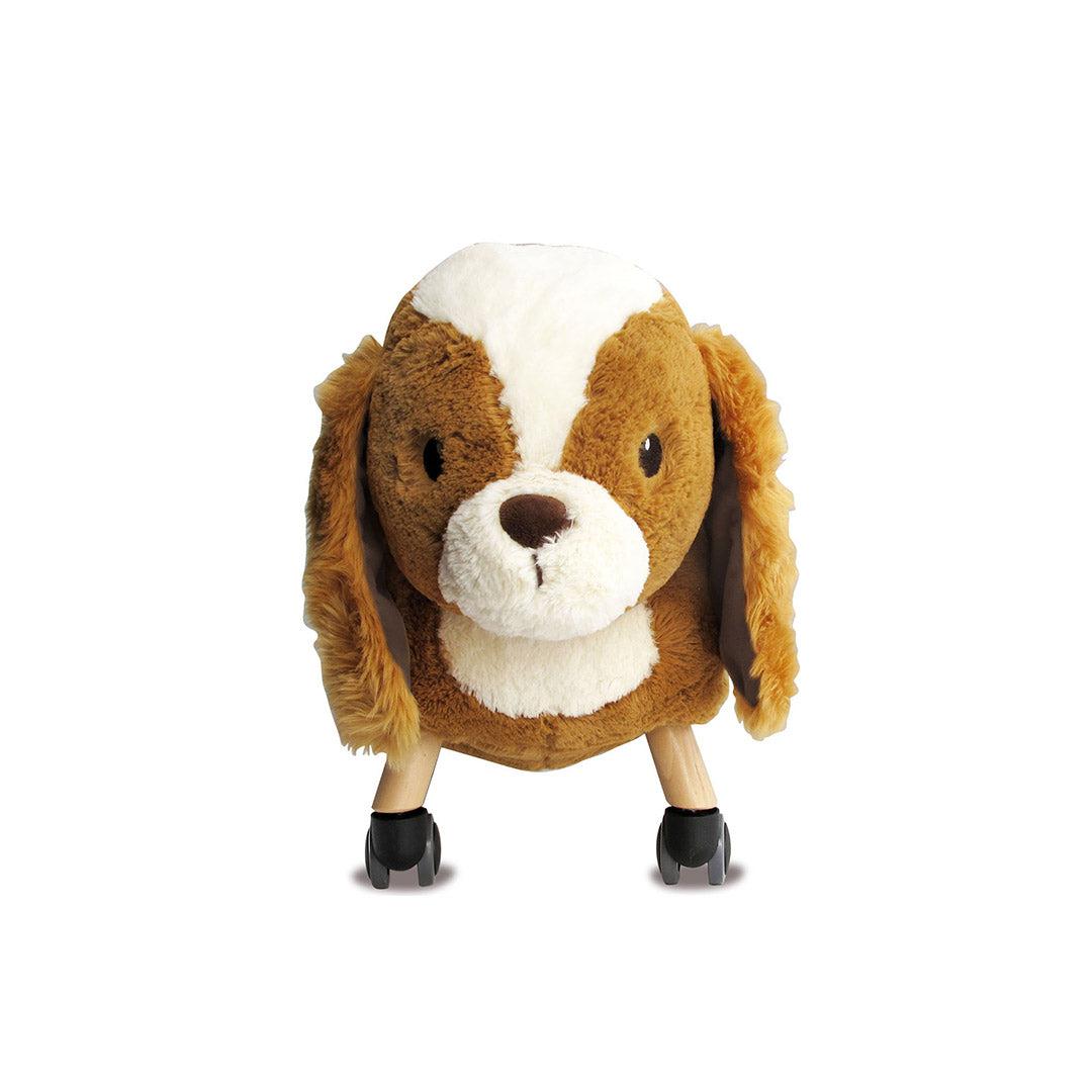 Flat plush clearance dog toys