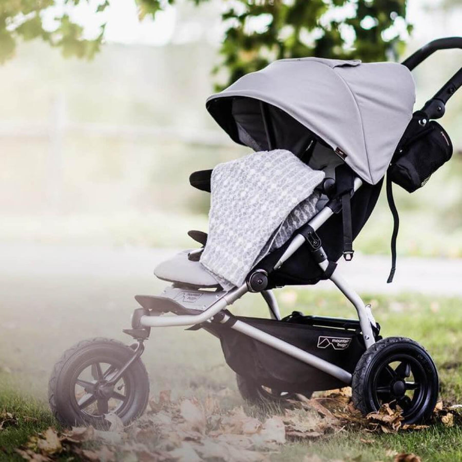 Mountain Buggy Swift Pushchair - Silver | Natural Baby Shower