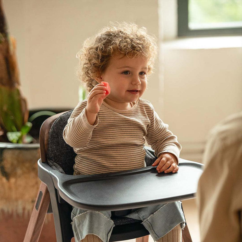 Nuna BRYN Highchair - Sanderson-Highchairs-Sanderson- | Natural Baby Shower