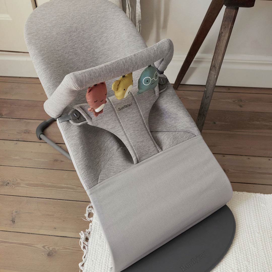 Baby bjorn 2024 bouncer bar